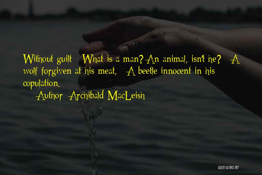 Archibald MacLeish Quotes: Without Guilt / What Is A Man? An Animal, Isn't He? / A Wolf Forgiven At His Meat, / A