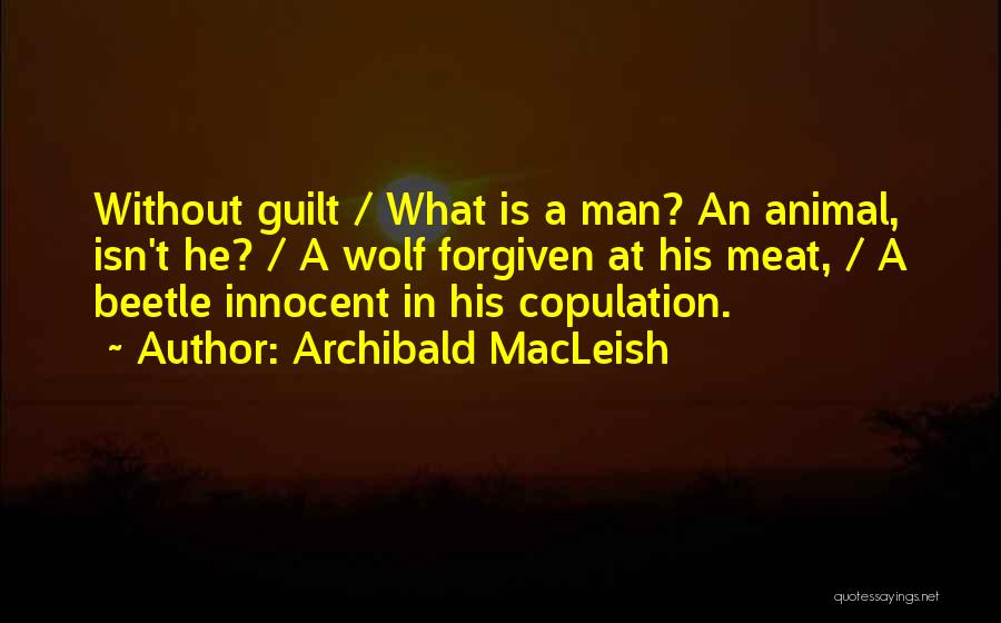 Archibald MacLeish Quotes: Without Guilt / What Is A Man? An Animal, Isn't He? / A Wolf Forgiven At His Meat, / A