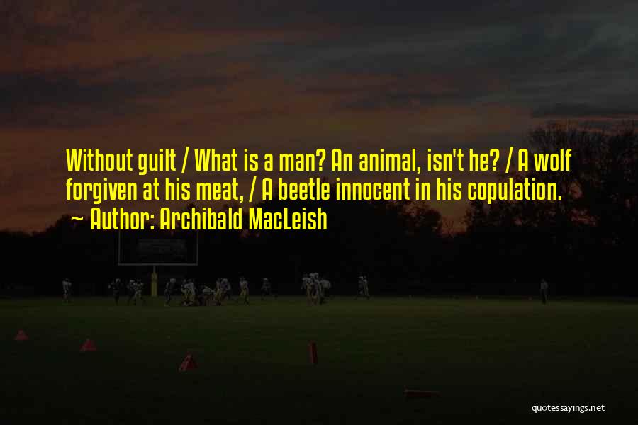 Archibald MacLeish Quotes: Without Guilt / What Is A Man? An Animal, Isn't He? / A Wolf Forgiven At His Meat, / A
