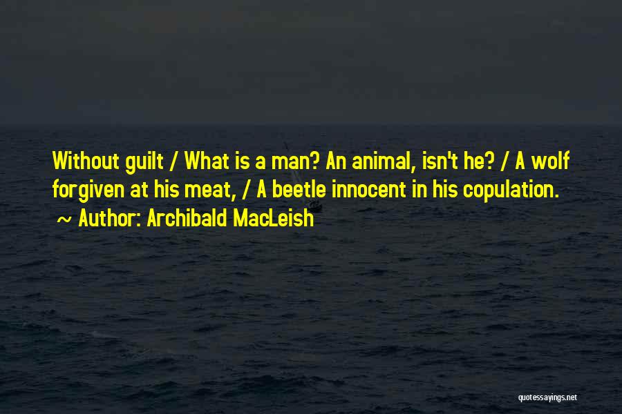 Archibald MacLeish Quotes: Without Guilt / What Is A Man? An Animal, Isn't He? / A Wolf Forgiven At His Meat, / A