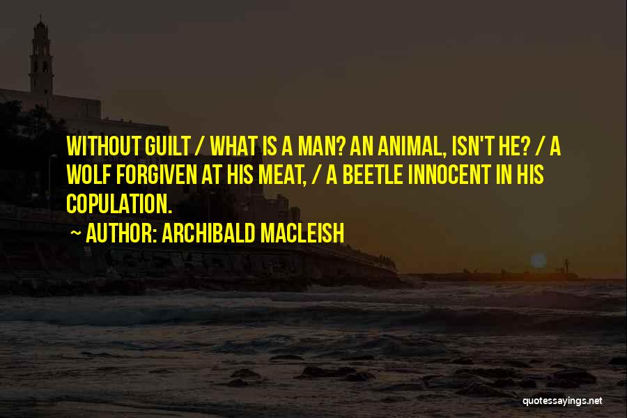 Archibald MacLeish Quotes: Without Guilt / What Is A Man? An Animal, Isn't He? / A Wolf Forgiven At His Meat, / A
