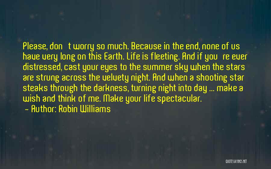 Robin Williams Quotes: Please, Don't Worry So Much. Because In The End, None Of Us Have Very Long On This Earth. Life Is