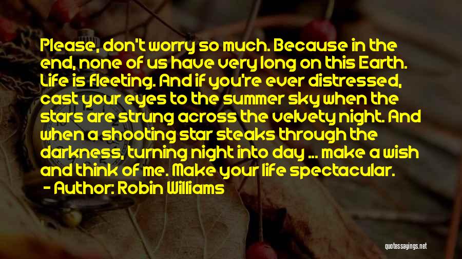 Robin Williams Quotes: Please, Don't Worry So Much. Because In The End, None Of Us Have Very Long On This Earth. Life Is