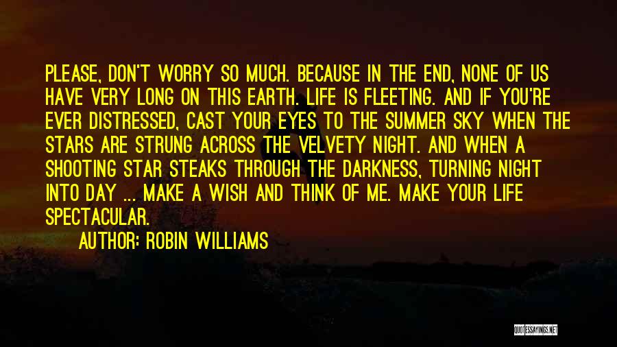 Robin Williams Quotes: Please, Don't Worry So Much. Because In The End, None Of Us Have Very Long On This Earth. Life Is