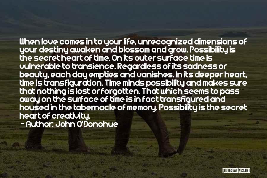 John O'Donohue Quotes: When Love Comes In To Your Life, Unrecognized Dimensions Of Your Destiny Awaken And Blossom And Grow. Possibility Is The