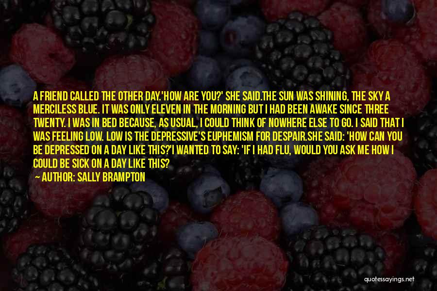 Sally Brampton Quotes: A Friend Called The Other Day.'how Are You?' She Said.the Sun Was Shining, The Sky A Merciless Blue. It Was