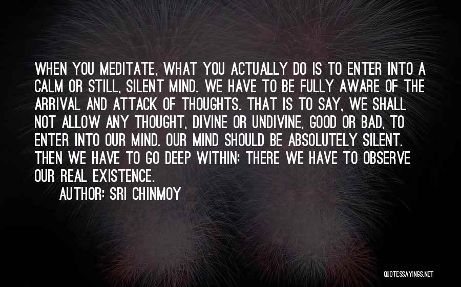 Sri Chinmoy Quotes: When You Meditate, What You Actually Do Is To Enter Into A Calm Or Still, Silent Mind. We Have To