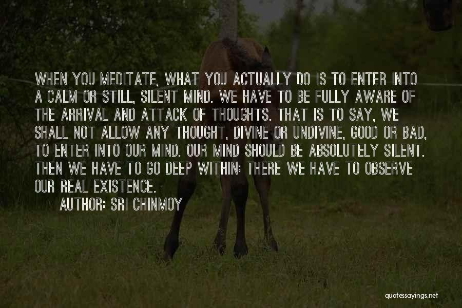 Sri Chinmoy Quotes: When You Meditate, What You Actually Do Is To Enter Into A Calm Or Still, Silent Mind. We Have To