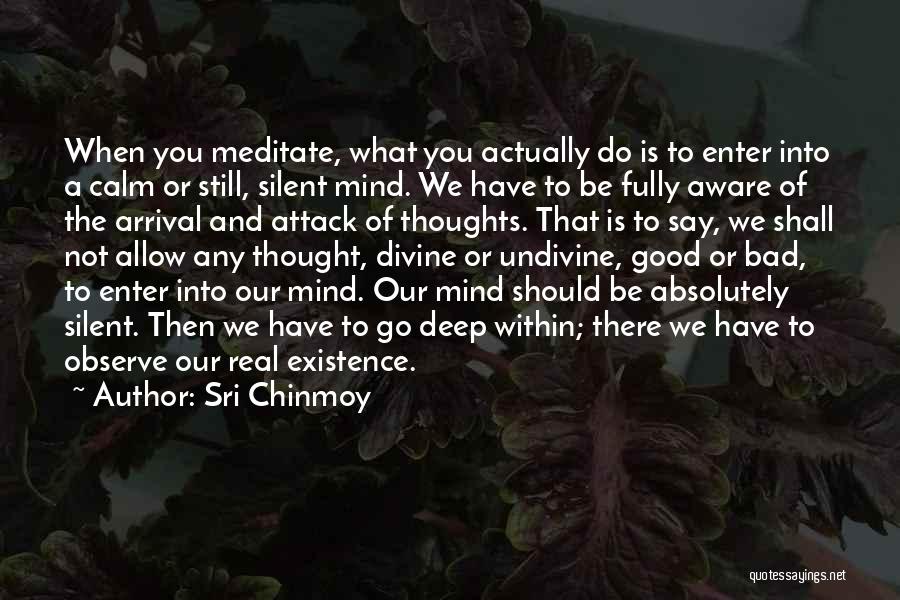 Sri Chinmoy Quotes: When You Meditate, What You Actually Do Is To Enter Into A Calm Or Still, Silent Mind. We Have To