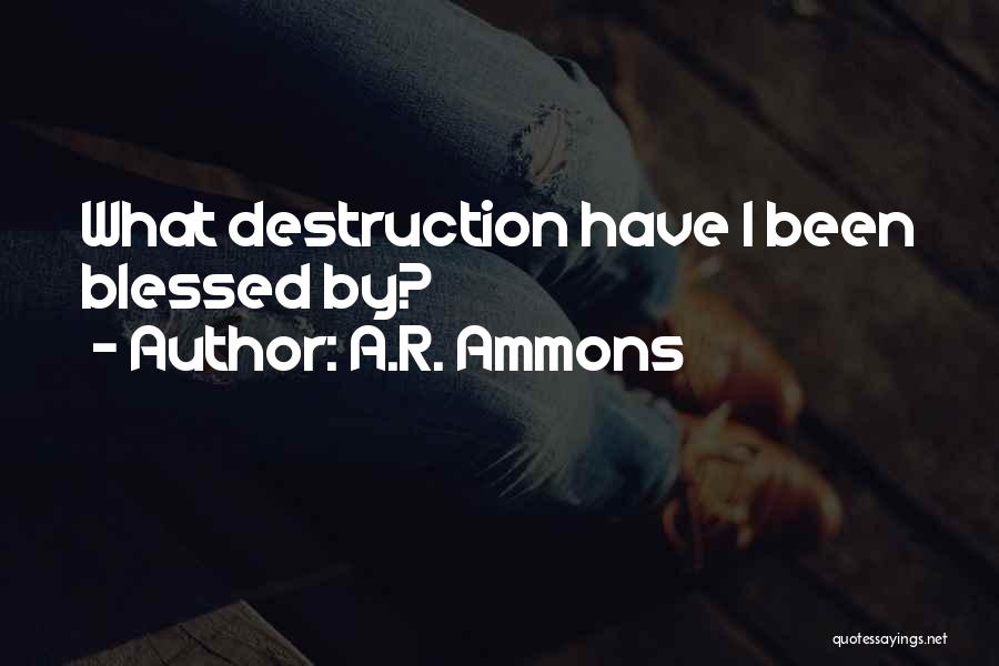 A.R. Ammons Quotes: What Destruction Have I Been Blessed By?