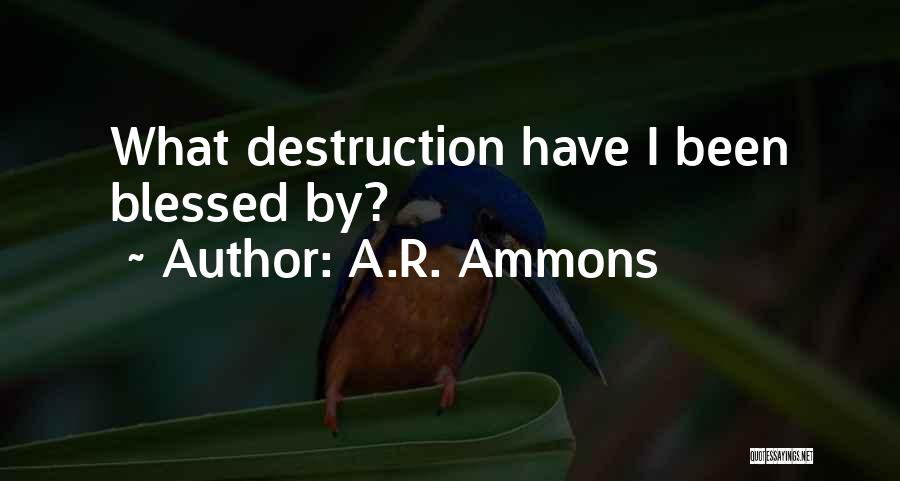 A.R. Ammons Quotes: What Destruction Have I Been Blessed By?