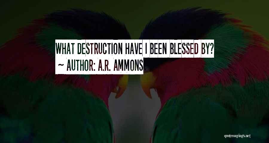 A.R. Ammons Quotes: What Destruction Have I Been Blessed By?