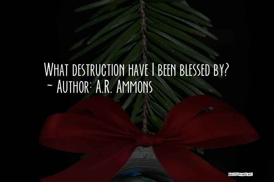 A.R. Ammons Quotes: What Destruction Have I Been Blessed By?