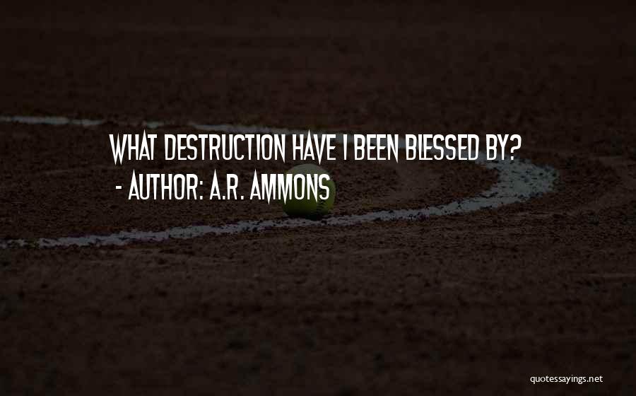 A.R. Ammons Quotes: What Destruction Have I Been Blessed By?