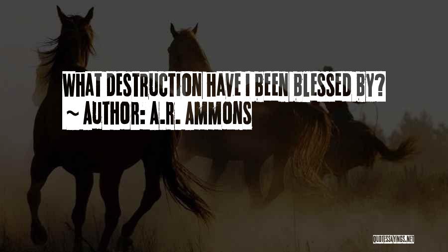 A.R. Ammons Quotes: What Destruction Have I Been Blessed By?