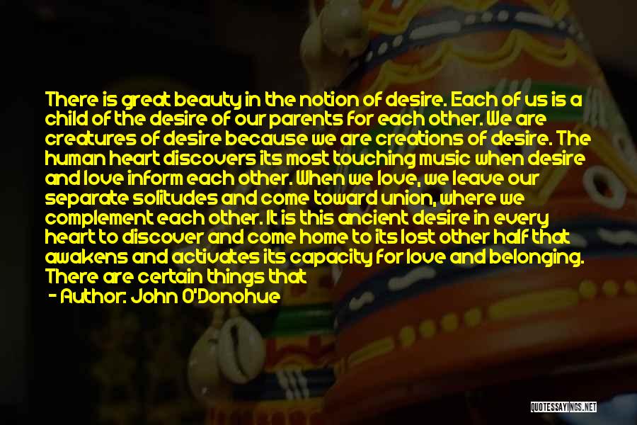 John O'Donohue Quotes: There Is Great Beauty In The Notion Of Desire. Each Of Us Is A Child Of The Desire Of Our