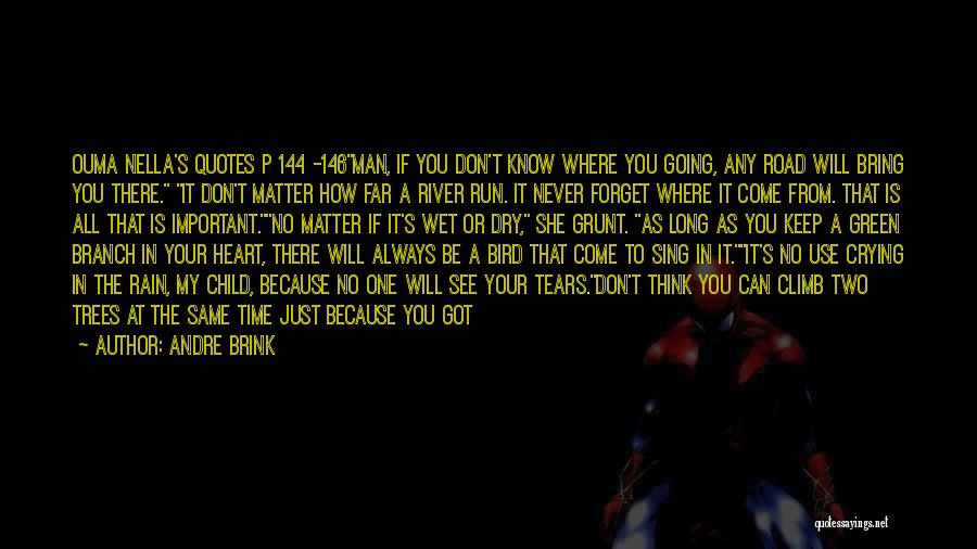 Andre Brink Quotes: Ouma Nella's Quotes P 144 -146man, If You Don't Know Where You Going, Any Road Will Bring You There. It