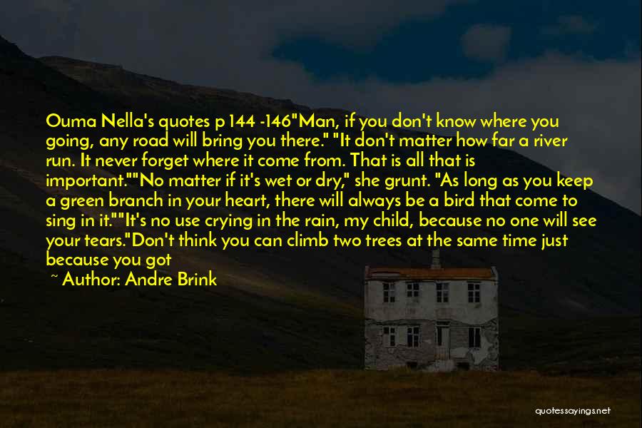 Andre Brink Quotes: Ouma Nella's Quotes P 144 -146man, If You Don't Know Where You Going, Any Road Will Bring You There. It