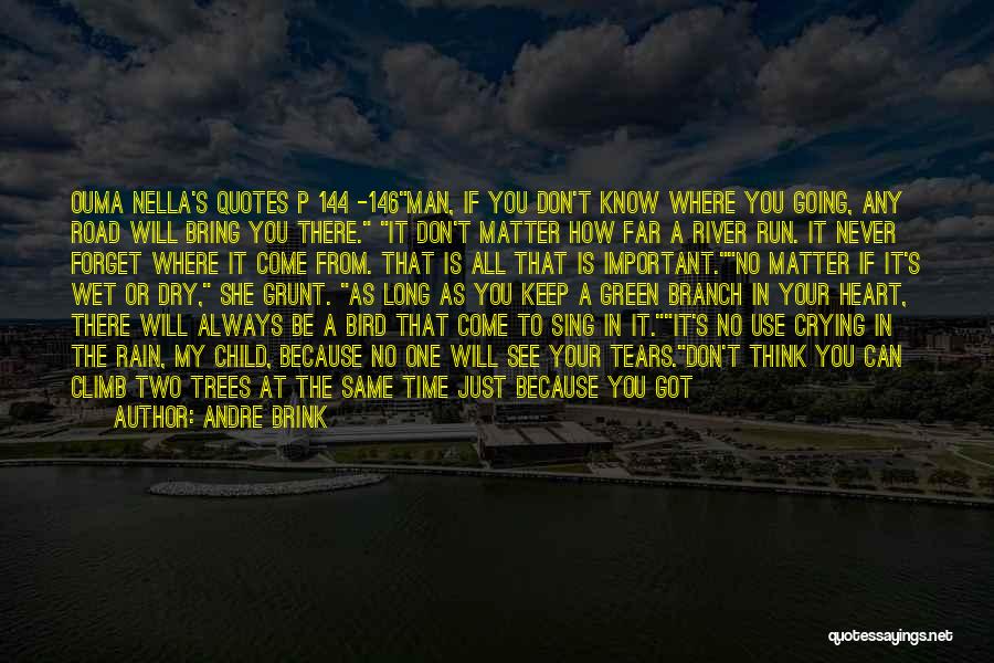 Andre Brink Quotes: Ouma Nella's Quotes P 144 -146man, If You Don't Know Where You Going, Any Road Will Bring You There. It