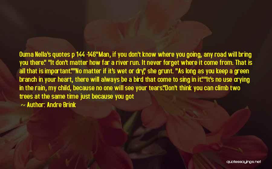 Andre Brink Quotes: Ouma Nella's Quotes P 144 -146man, If You Don't Know Where You Going, Any Road Will Bring You There. It