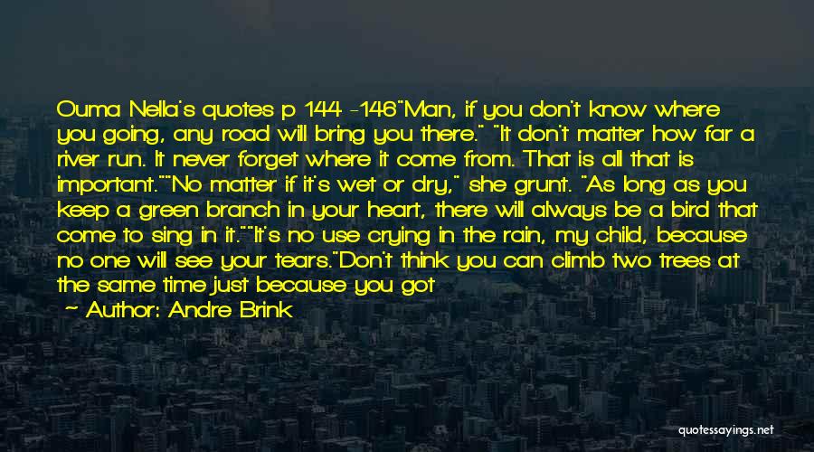 Andre Brink Quotes: Ouma Nella's Quotes P 144 -146man, If You Don't Know Where You Going, Any Road Will Bring You There. It