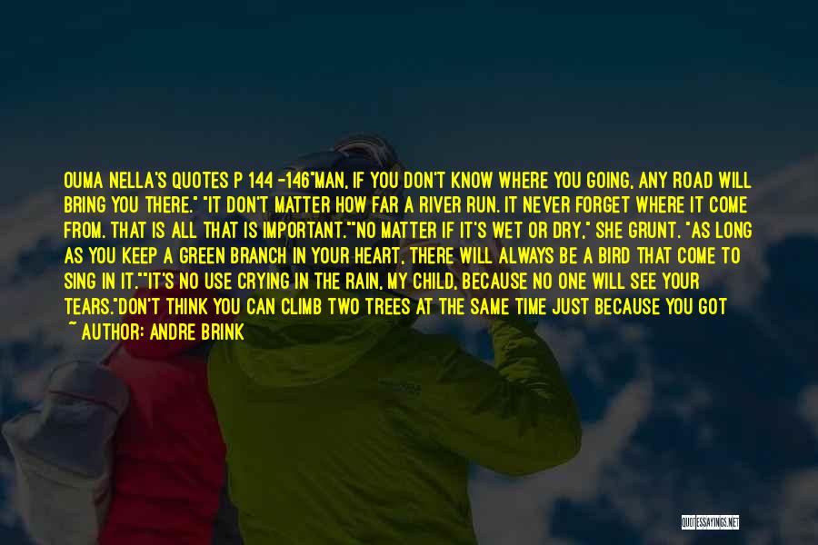 Andre Brink Quotes: Ouma Nella's Quotes P 144 -146man, If You Don't Know Where You Going, Any Road Will Bring You There. It