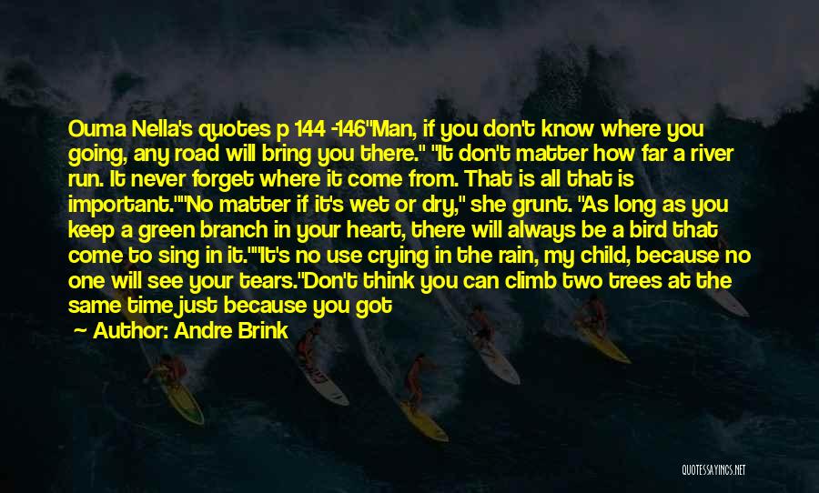 Andre Brink Quotes: Ouma Nella's Quotes P 144 -146man, If You Don't Know Where You Going, Any Road Will Bring You There. It