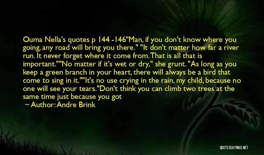 Andre Brink Quotes: Ouma Nella's Quotes P 144 -146man, If You Don't Know Where You Going, Any Road Will Bring You There. It