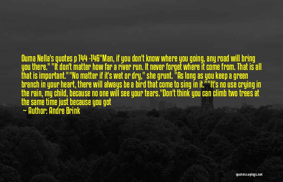 Andre Brink Quotes: Ouma Nella's Quotes P 144 -146man, If You Don't Know Where You Going, Any Road Will Bring You There. It