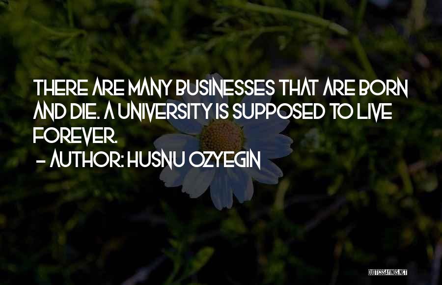 Husnu Ozyegin Quotes: There Are Many Businesses That Are Born And Die. A University Is Supposed To Live Forever.