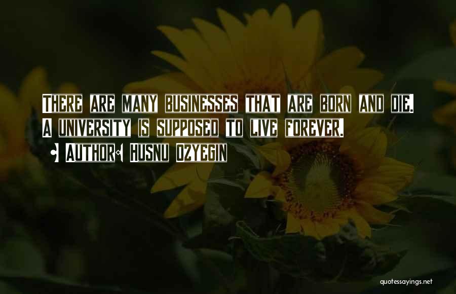 Husnu Ozyegin Quotes: There Are Many Businesses That Are Born And Die. A University Is Supposed To Live Forever.