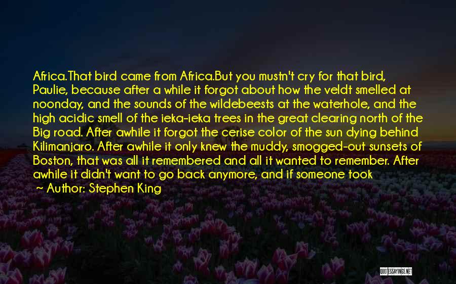 Stephen King Quotes: Africa.that Bird Came From Africa.but You Mustn't Cry For That Bird, Paulie, Because After A While It Forgot About How