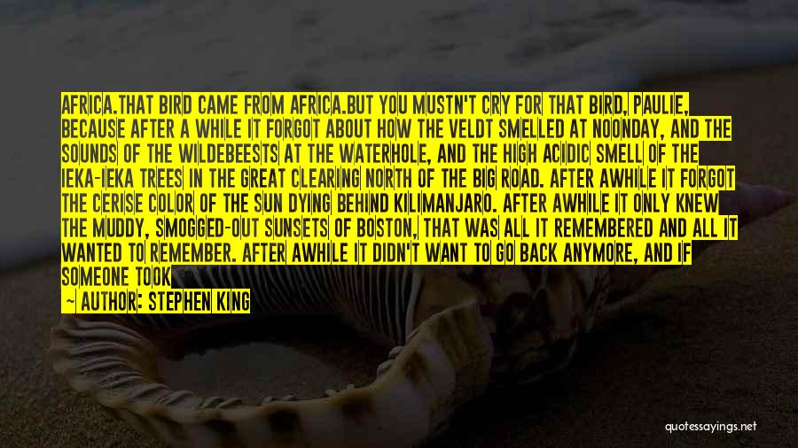 Stephen King Quotes: Africa.that Bird Came From Africa.but You Mustn't Cry For That Bird, Paulie, Because After A While It Forgot About How