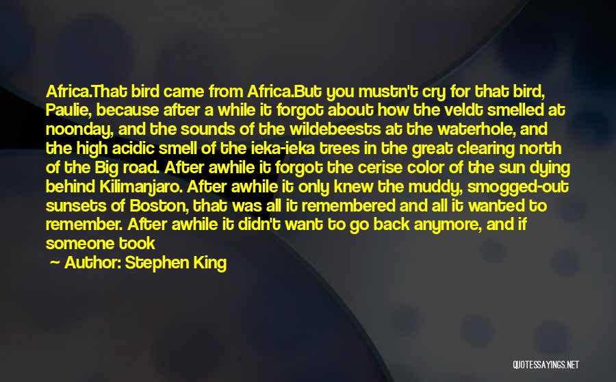 Stephen King Quotes: Africa.that Bird Came From Africa.but You Mustn't Cry For That Bird, Paulie, Because After A While It Forgot About How