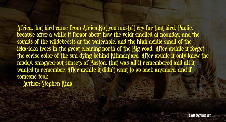 Stephen King Quotes: Africa.that Bird Came From Africa.but You Mustn't Cry For That Bird, Paulie, Because After A While It Forgot About How