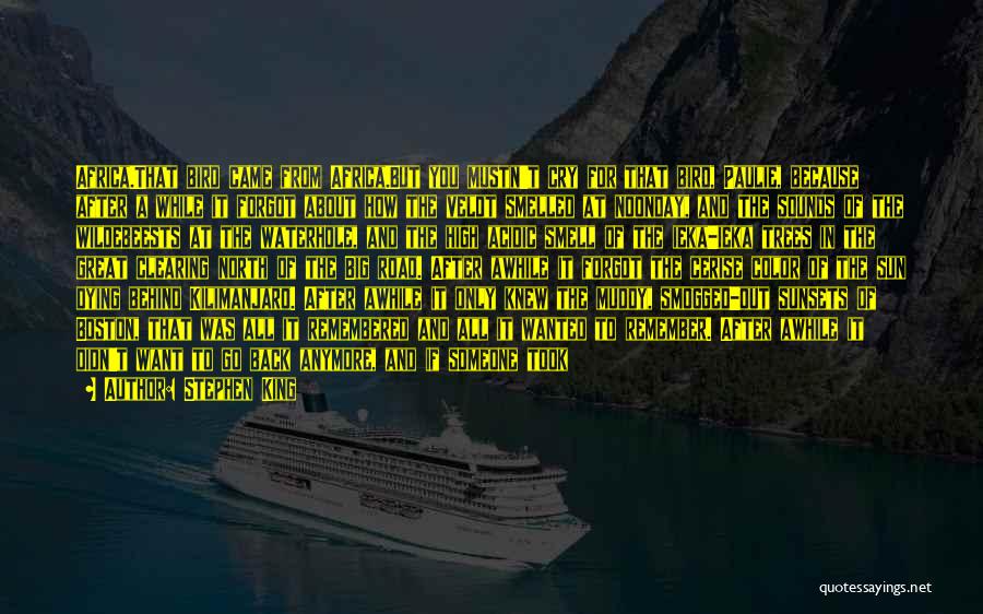 Stephen King Quotes: Africa.that Bird Came From Africa.but You Mustn't Cry For That Bird, Paulie, Because After A While It Forgot About How