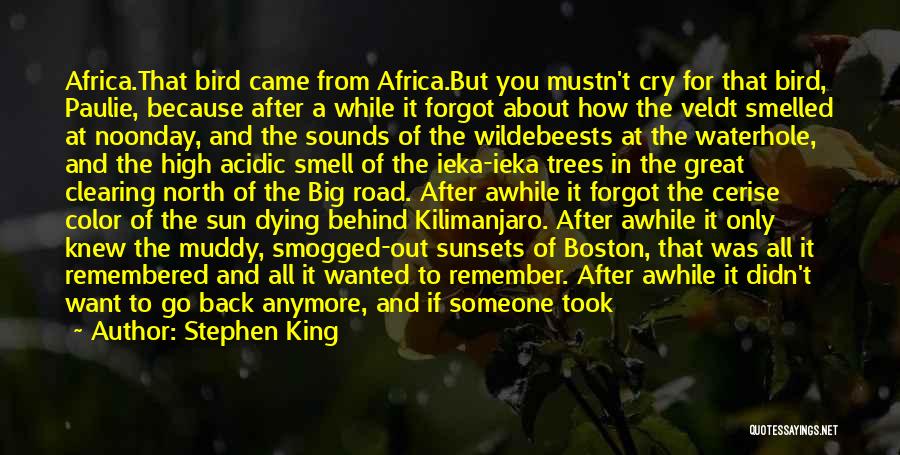 Stephen King Quotes: Africa.that Bird Came From Africa.but You Mustn't Cry For That Bird, Paulie, Because After A While It Forgot About How