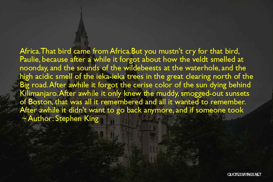 Stephen King Quotes: Africa.that Bird Came From Africa.but You Mustn't Cry For That Bird, Paulie, Because After A While It Forgot About How