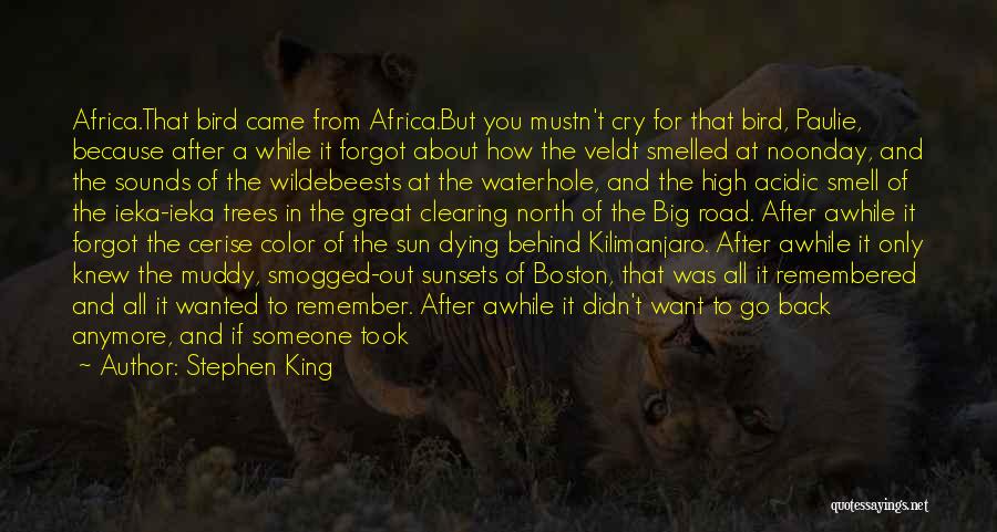 Stephen King Quotes: Africa.that Bird Came From Africa.but You Mustn't Cry For That Bird, Paulie, Because After A While It Forgot About How