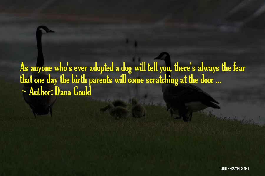Dana Gould Quotes: As Anyone Who's Ever Adopted A Dog Will Tell You, There's Always The Fear That One Day The Birth Parents