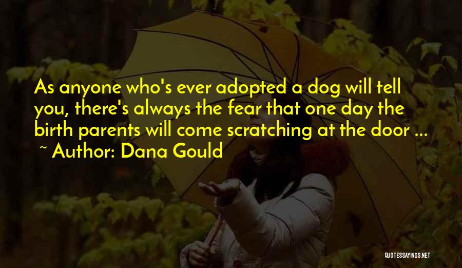Dana Gould Quotes: As Anyone Who's Ever Adopted A Dog Will Tell You, There's Always The Fear That One Day The Birth Parents
