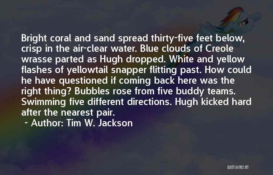 Tim W. Jackson Quotes: Bright Coral And Sand Spread Thirty-five Feet Below, Crisp In The Air-clear Water. Blue Clouds Of Creole Wrasse Parted As