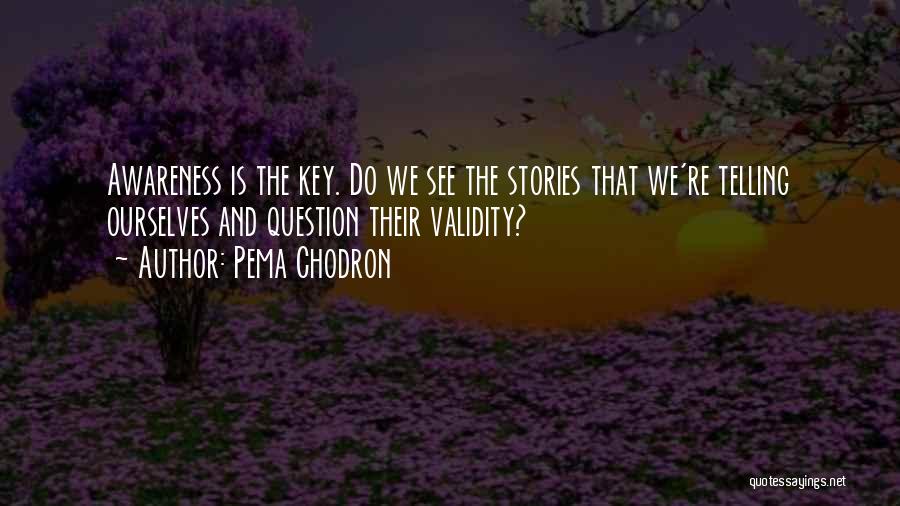 Pema Chodron Quotes: Awareness Is The Key. Do We See The Stories That We're Telling Ourselves And Question Their Validity?