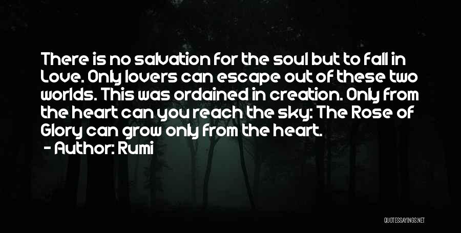 Rumi Quotes: There Is No Salvation For The Soul But To Fall In Love. Only Lovers Can Escape Out Of These Two