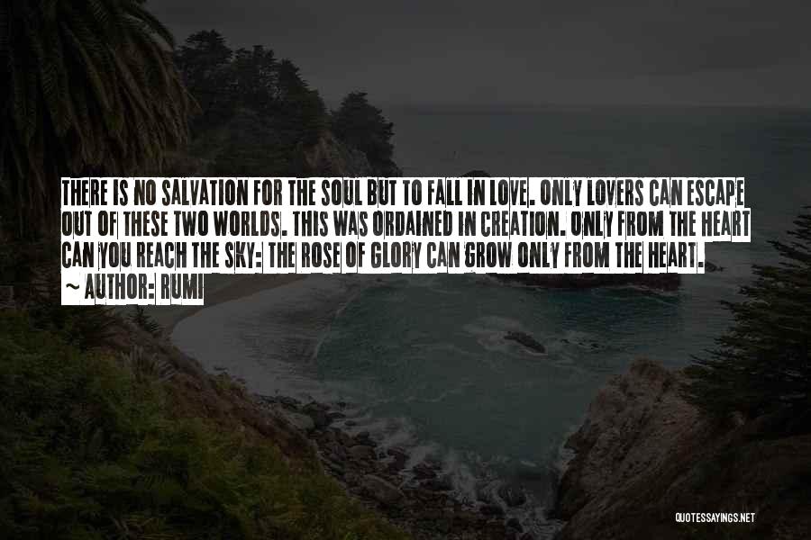 Rumi Quotes: There Is No Salvation For The Soul But To Fall In Love. Only Lovers Can Escape Out Of These Two