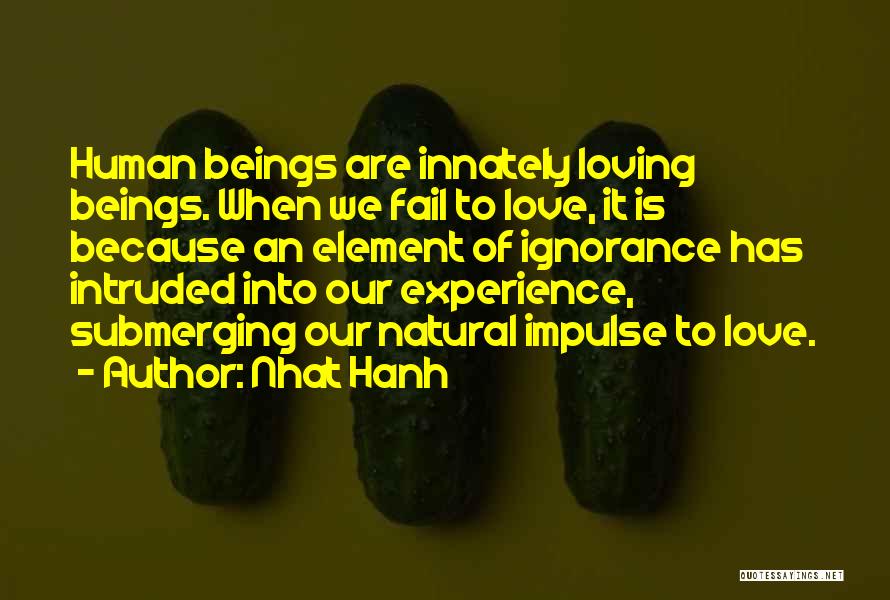 Nhat Hanh Quotes: Human Beings Are Innately Loving Beings. When We Fail To Love, It Is Because An Element Of Ignorance Has Intruded