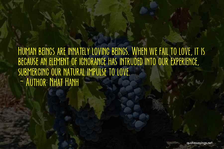 Nhat Hanh Quotes: Human Beings Are Innately Loving Beings. When We Fail To Love, It Is Because An Element Of Ignorance Has Intruded