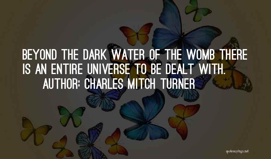 Charles Mitch Turner Quotes: Beyond The Dark Water Of The Womb There Is An Entire Universe To Be Dealt With.