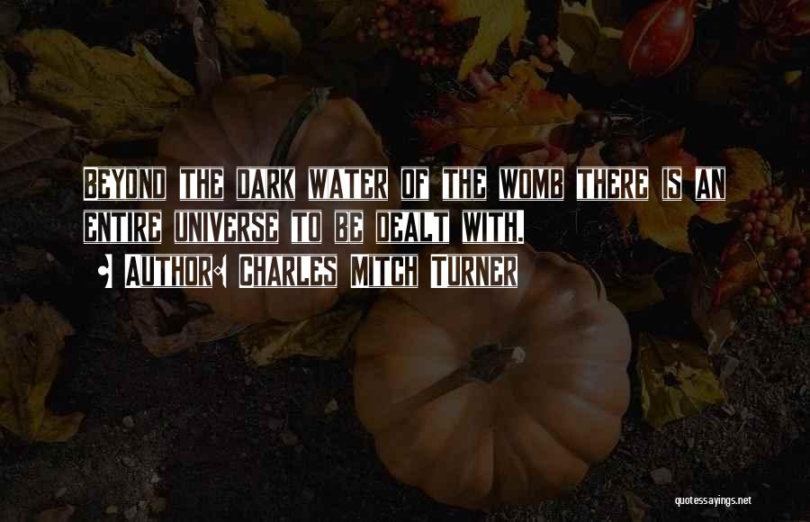 Charles Mitch Turner Quotes: Beyond The Dark Water Of The Womb There Is An Entire Universe To Be Dealt With.