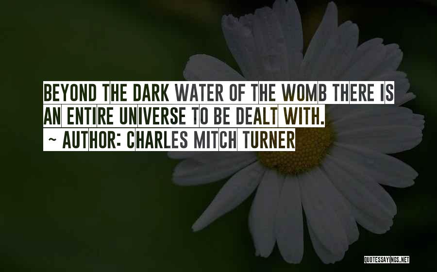 Charles Mitch Turner Quotes: Beyond The Dark Water Of The Womb There Is An Entire Universe To Be Dealt With.